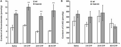 Potential of Endocannabinoids to Control Bladder Pain